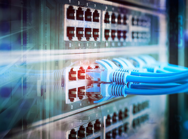 Branch connectivity and network architecture visual